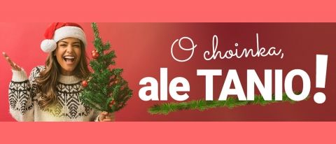 Promocja "O Choinka! Ale tanio!" w AVANS