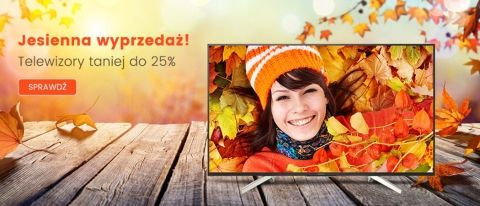 Rabaty na telewizory w Zadowolenie
